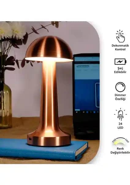 Karşılaştırmalı Analiz: Ack Şarjlı LED Masa Lambası ve Neo Vista Retro Masa Lambası