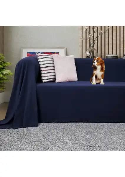 Koltuk Koruma Ürünleri Karşılaştırması: Latuda Concept ve Vagonik Royal Örtüler