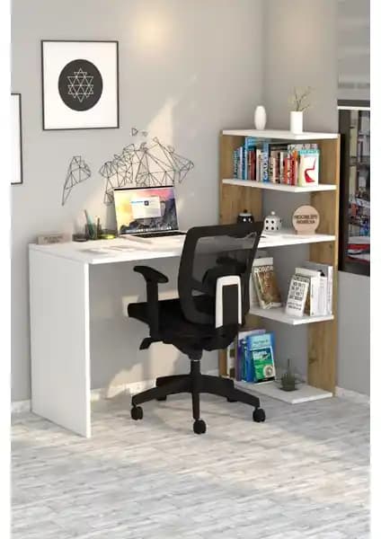 Moonlife Çınar ve Diamond Çalışma Masaları Karşılaştırması: Özellikler ve Kullanıcı Yorumları