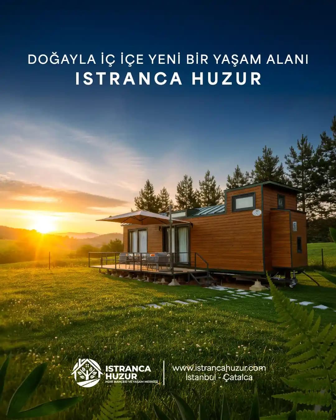 Dış Mekan Alanınızı Çekici Kılmak İçin Bitki, Mobilya ve Bakım Önerileri