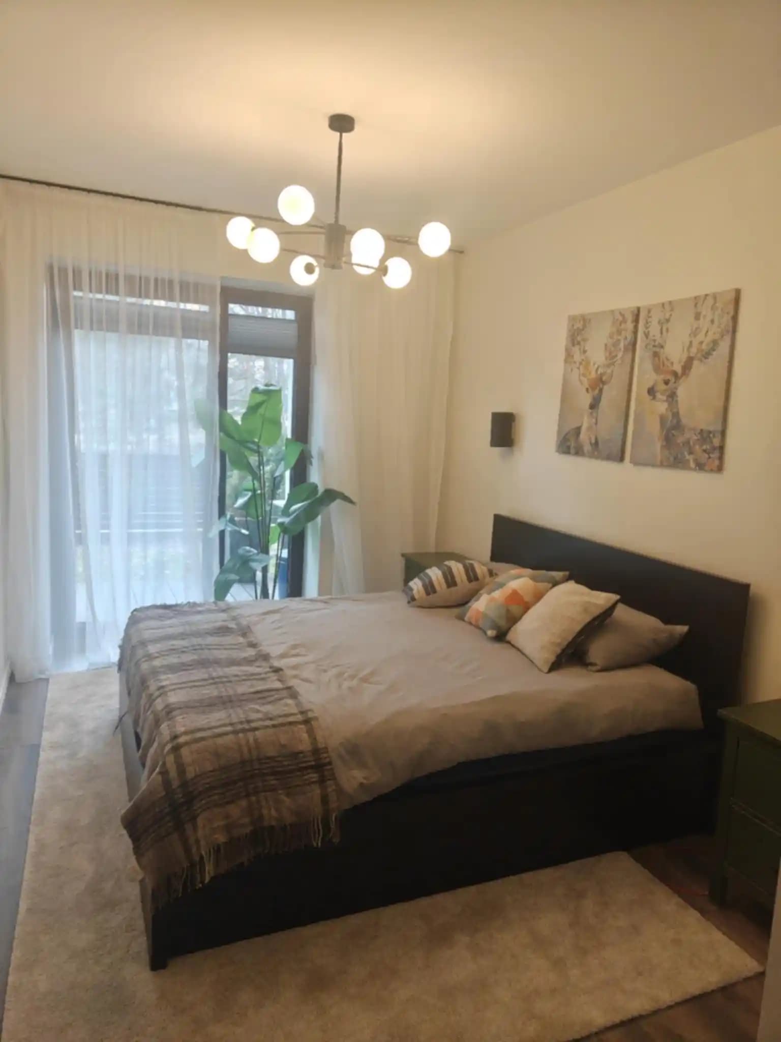 Oda Dekorasyonunda Bitki Yerleştirme ve Uygunluk Değerlendirmesi: Estetik ve Fonksiyonel Yaklaşımlar