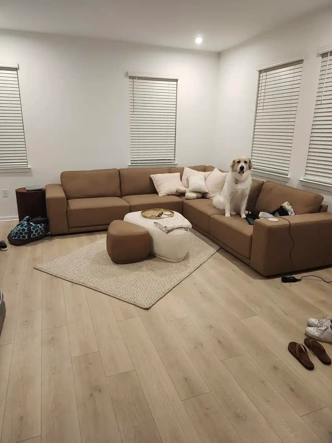 Oturma Odasında Halı Seçimi ve Yerleşimi: Doğru Boyut, Renk ve Düzenleme