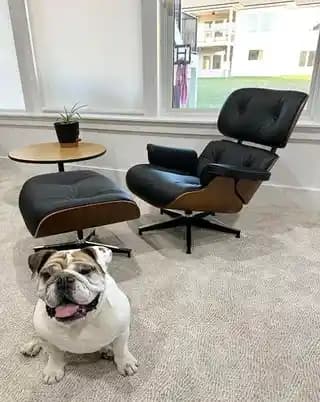 Vorthio Eames Lounge Chair Replika İncelemesi: Üst Kalite Deri ve Dayanıklılık