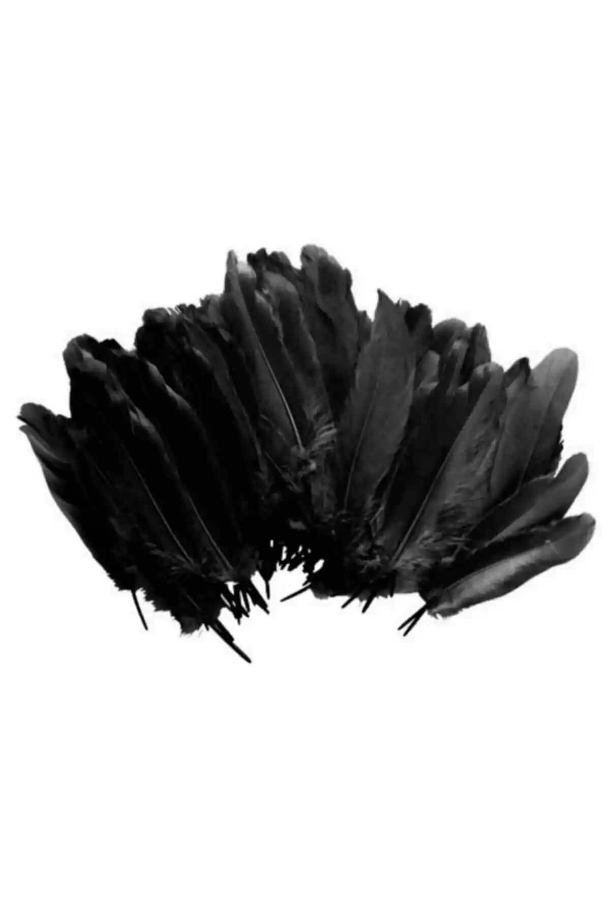 Renkli Kuş Tüyleri: Dekorasyon ve Sanat İçin Çok Amaçlı Estetik Malzeme