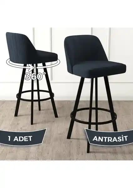 Canisa Concept Atex ve Tera Bar Sandalyeleri Karşılaştırması ve Özellikleri