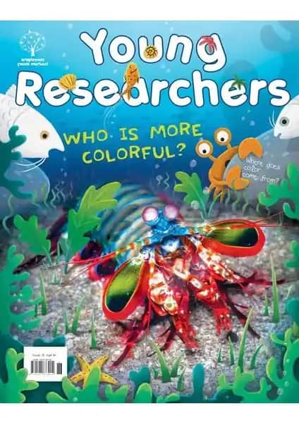 Çocuklar İçin Renklerin Dünyası: Renklerin Kaynağı, Çeşitleri ve Kullanım Alanları