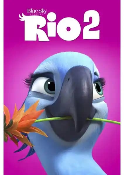 Fidelyo Tasarım Rio 2 Afişi: Estetik ve Dayanıklı Dış Mekan Posterleri