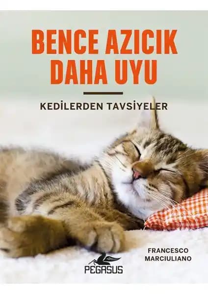 Kedilerden Alınacak Bilgelik ve Günlük Hayatta Uygulanabilir Tavsiyeler