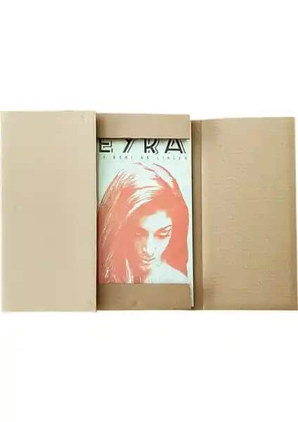 Plak Koleksiyonları İçin Dayanıklı ve Güvenli Koruyucu Kutu Önerileri