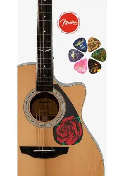 Yanıklar Müzik 6'lı Gitar Penası ve Pena Korumalığı Seti Performans ve Koruma İçin Idealdir