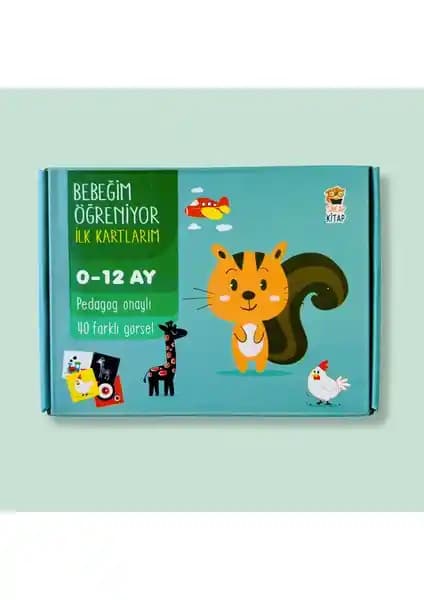 Bebekler İçin Gelişimi Destekleyen İlk Kartlar ve Eğitim Materyalleri