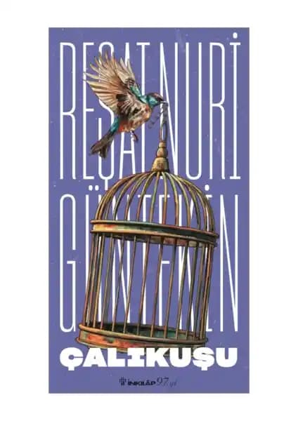 Çalıkuşu Romanı: Türk Edebiyatının Önemli Eseri ve Kadın Mücadelesinin Temsilcisi