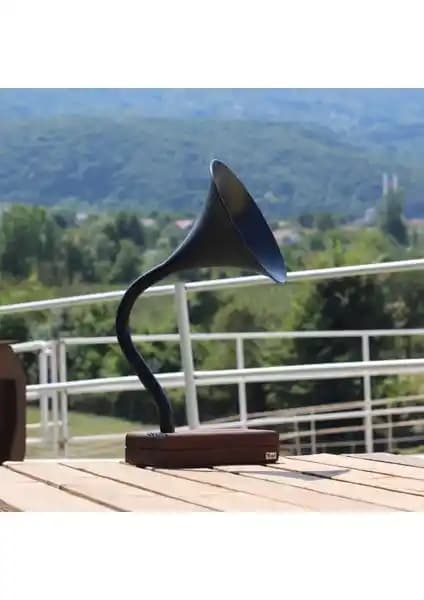 Vune Concept Deju Akustik Gramofon Siyah Modern Tasarım ve Üstün Ses Performansı