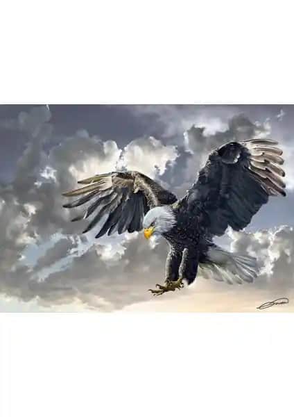 Art Puzzle Siyah Beyaz Kartal Figürlü 500 Parça Puzzle Sanat ve Doğa Teması