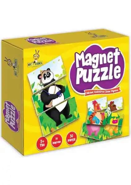 Yükselen Zeka Magnet Puzzle: Erken Çocuklukta Bilişsel Gelişimi Destekleyen Eğitici Oyuncak
