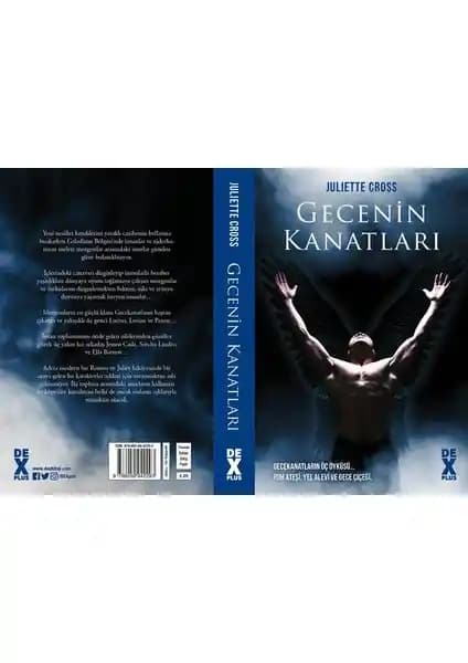 Gecenin Kanatları: Fantastik Aşk ve Macera Dolu Bir Roman İncelemesi