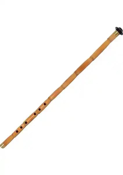 Manuel Raymond Kaşmış Kız Neyi NKK1: Özellikleri, Performansı ve Değerlendirmeleri