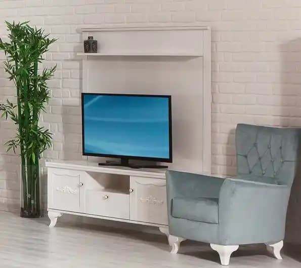 2023 TV Ünitesi Modelleri Üzerine Genel Değerlendirme ve Mevcut Veri Analizi