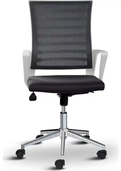 Asbir Ceo Fileli Çalışma Koltuğu vs Asbir Rigel 55300: Detaylı Karşılaştırma İncelemesi