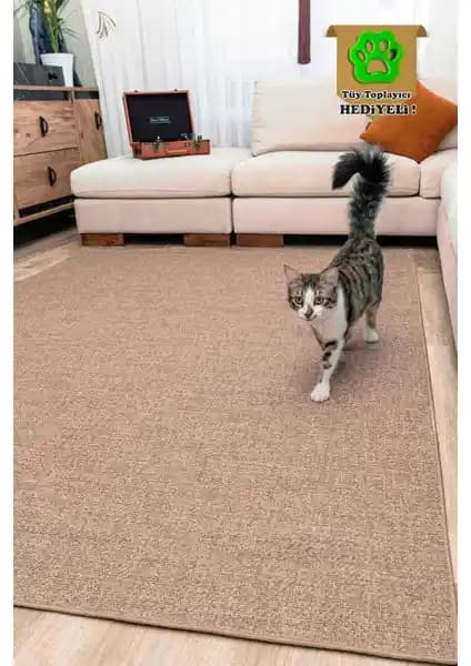 Melaris Halı: Doğal Jüt ile Dayanıklı Yüzey, Kolay Temizlik ve Evcil Hayvan Dostu Tasarım
