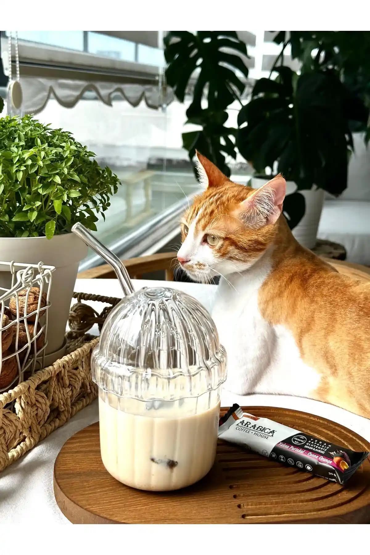 MİMOZA PARK Oval Kapaklı 430 ml Isıya Dayanıklı BPA İçermeyen Meşrubat Bardağı