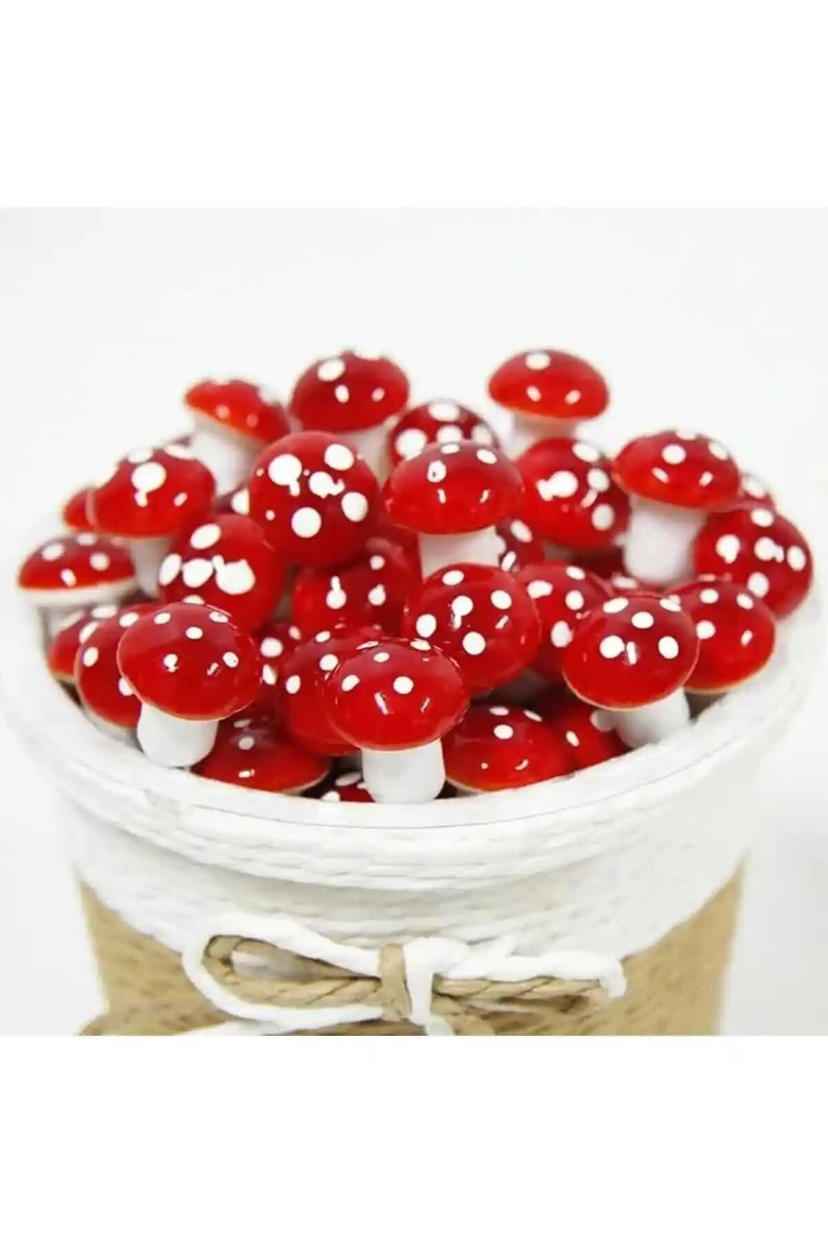 Himi Teraryum Objeleri: Doğanın Evinizdeki Dekoratif Yüzü