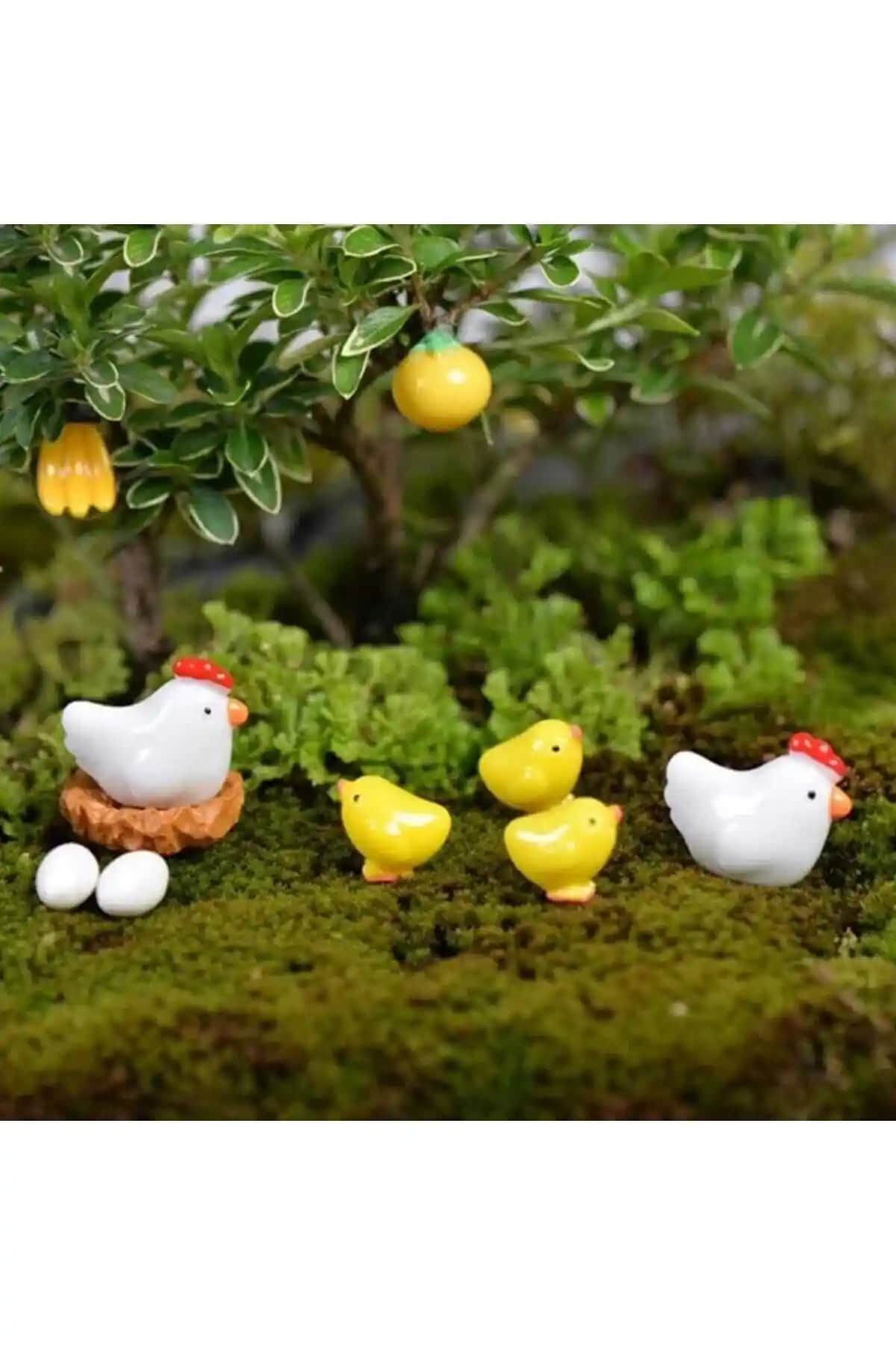 Himi Teraryum: Sevimli Tavuk ve Horoz Figürleriyle Dekorasyon