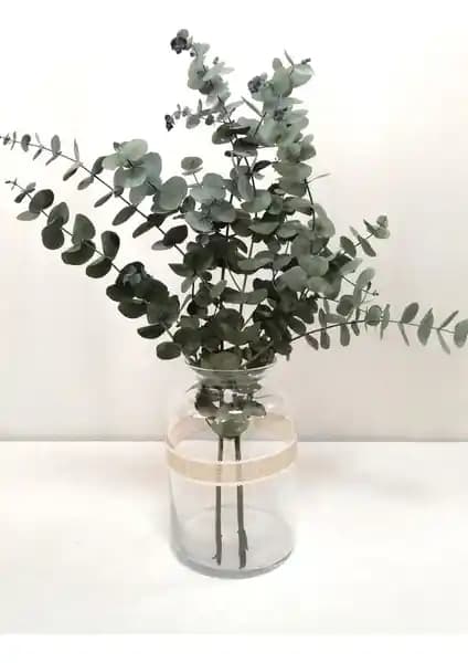 Kuru Çiçek Deposu'nun Şoklanmış Yeşil Okaliptus Demeti ile Mekânlara Doğal Şıklık Katın