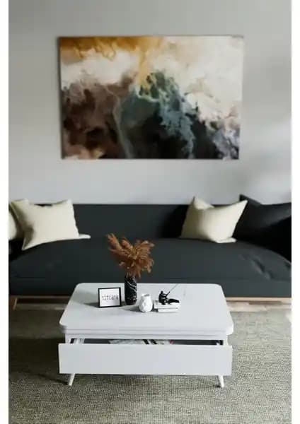 Kolexonline Berlin Beyaz Orta Sehpa ve Ottowa Akıllı Masa Fonksiyonel Karşılaştırması