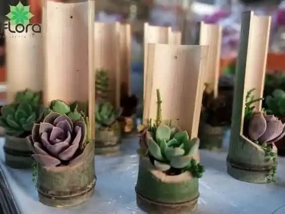 Bambu Vazosu ve Cam Uyumu ile Modern ve Doğal Dekorasyon Fikirleri