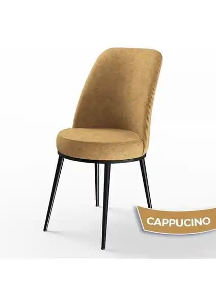 Canisa Concept DEXA Serisi Modern ve Dayanıklı Mutfak Sandalyesi Tasarımı ve Özellikleri