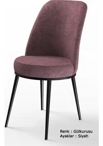 Canisa Concept Dexa Serisi Modern ve Konforlu Mutfak ve Yemek Odası Sandalyeleri