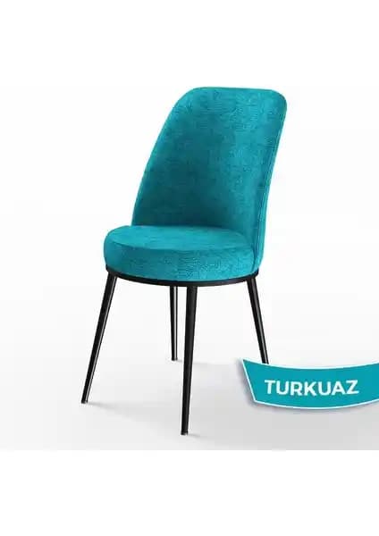 Canisa Concept Dexa Serisi Mutfak Sandalyesi İncelemesi ve Özellikleri
