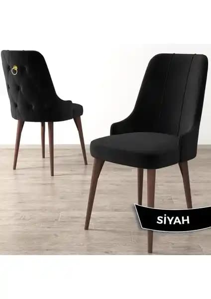 Canisa Concept Enoa Serisi Ceviz Renkli Modern Ahşap Ayaklı Sandalye Özellikleri ve Kullanım Alanları