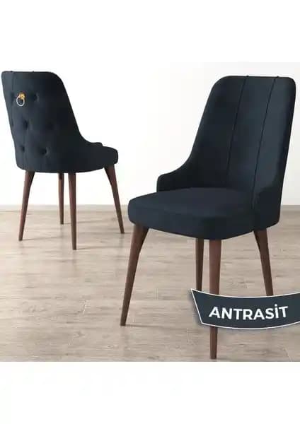 Canisa Concept Enova Serisi Modern ve Dayanıklı Ahşap Ayaklı Oturma Sandalyeleri