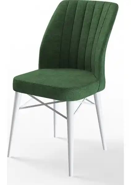 Canisa Concept Flex Serisi Gürgen Ayaklı Modern ve Dayanıklı 4'lü Sandalye Seti