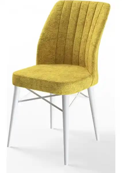 Canisa Concept Flex Serisi Gürgen Ayaklı Sandalye: Modern ve Dayanıklı Tasarım Özellikleri