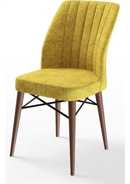 Canisa Concept Flex Serisi Modern Ahşap ve Konforlu Sandalye Çeşitleri