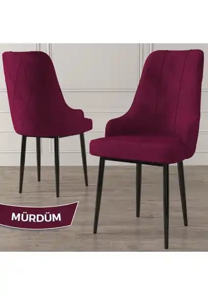 Canisa Concept Trex Serisi Modern ve Dayanıklı Oturma Çözümü 2023