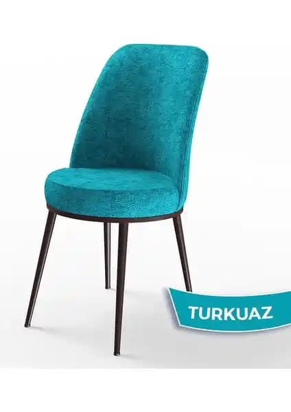 Canisa DEXA Serisi Üst Kalite Modern Mutfak Sandalyesi Çok Renkli ve Dayanıklı Tasarım