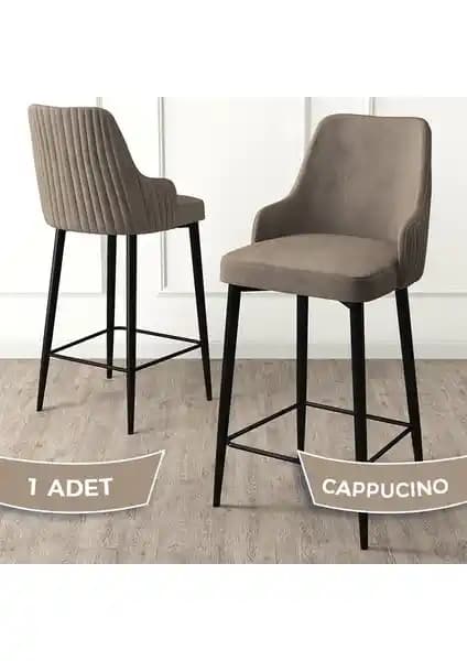 Canisa Enox Serisi Mutfak ve Bar Sandalyesi Modern Tasarım ve Dayanıklılık Özellikleri