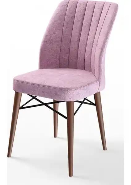 Canisa Flex Serisi Gürgen Ayaklı 1. Sınıf Modern Sandalye Tasarımı ve Özellikleri