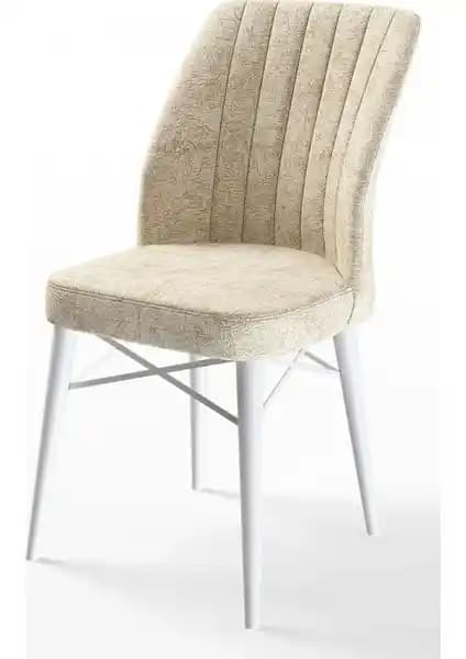 Canisa Flex Serisi Gürgen Ayaklı Modern Sandalye: Şıklık ve Konfor Bir Arada