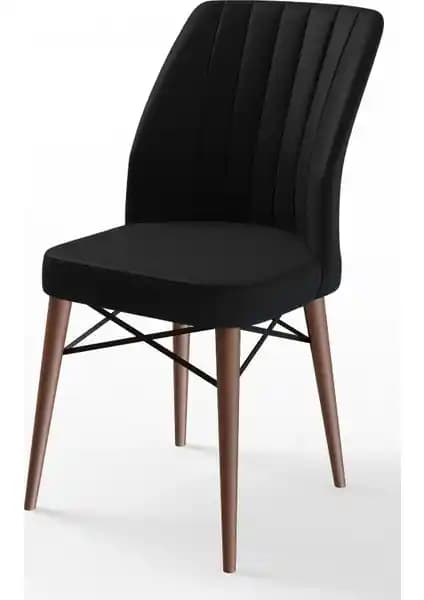 Canisa Flex Serisi Gürgen Ayaklı Modern Sandalye Yüksek Konfor ve Şık Tasarım