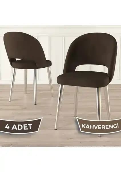 Canisa Pane Serisi 4 Adet Mutfak Sandalyesi Modern Tasarım ve Dayanıklılık Özellikleriyle