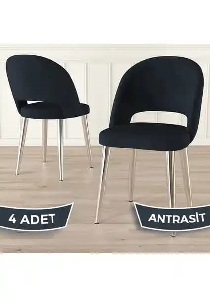 Canisa Pane Serisi 4'lü Modern Mutfak Sandalyesi Seti Dayanıklı ve Şık Tasarım