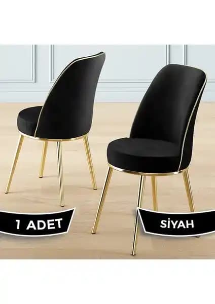 Canisa Pefa Serisi Mutfak Sandalyesi Modern Tasarım ve Dayanıklılık Sunar