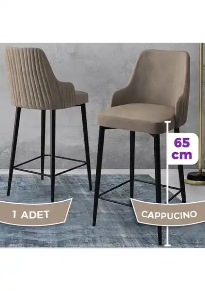 Canisa Tera Serisi Modern ve Dayanıklı Metal Mutfak ve Bar Sandalyesi