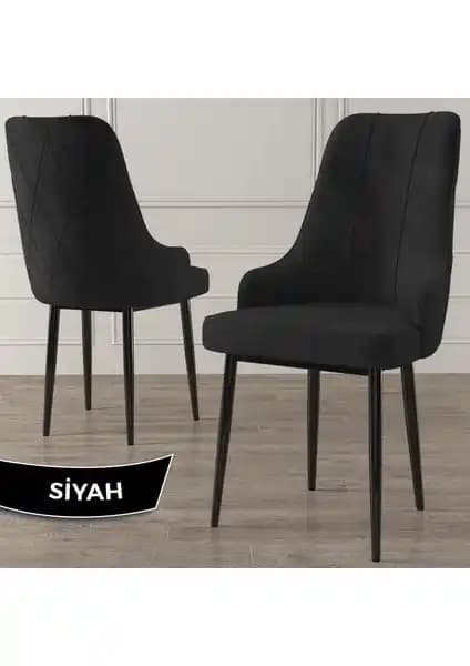 Canisa Trex Serisi Modern ve Konforlu Oturma Sandalyesi Şık Tasarım ve Dayanıklılık