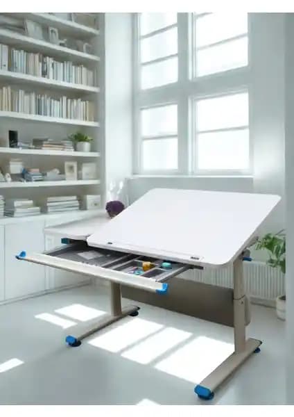 Creo Mobili Ergonomik ve Çok Fonksiyonlu Öğrenci Çalışma Masası Çeşitleri ve Özellikleri